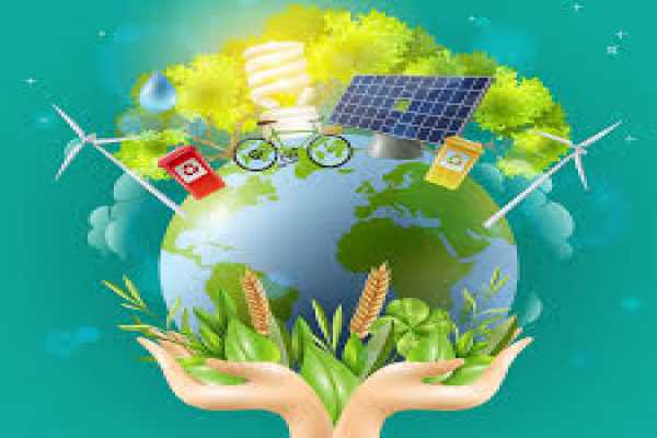 Maximize Energy Savings with Sunshakti's Solar Solutions in Jaipur